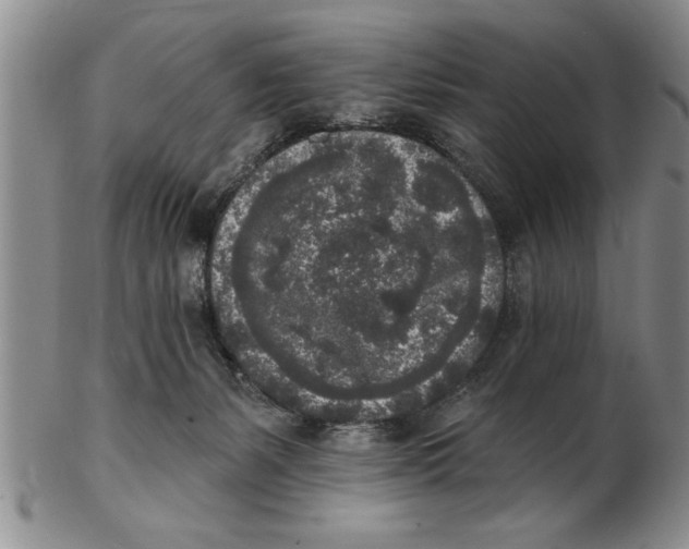 X0000102350127200808221702