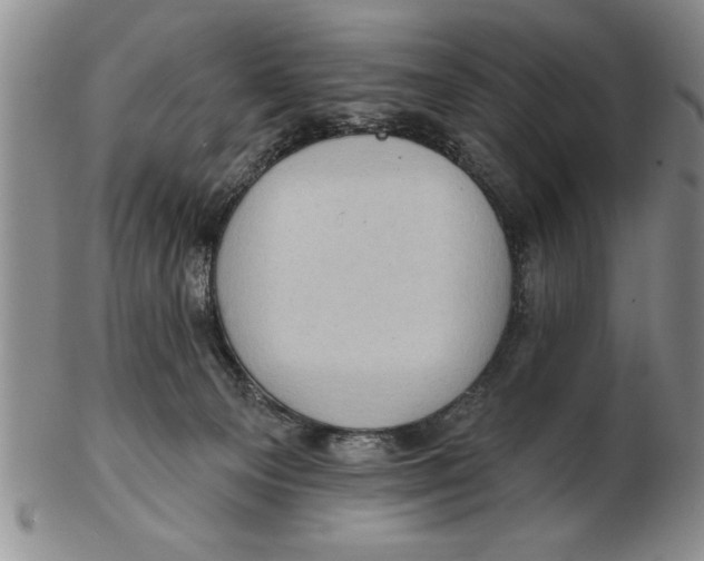 X0000102350129200808221702