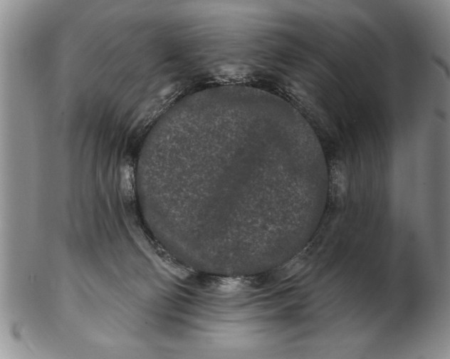 X0000102350130200808221702