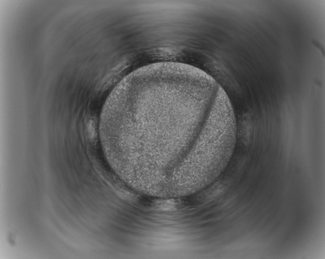 X0000102350131200808221702