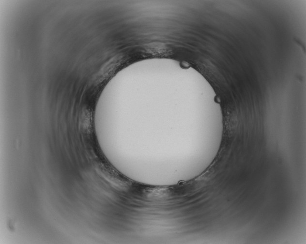 X0000102350132200808221702