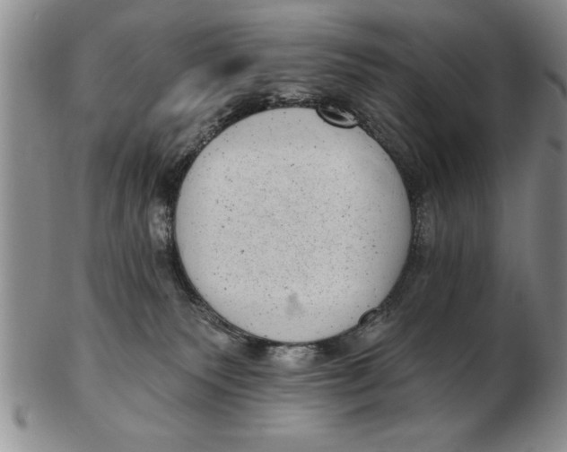 X0000102350135200808221702