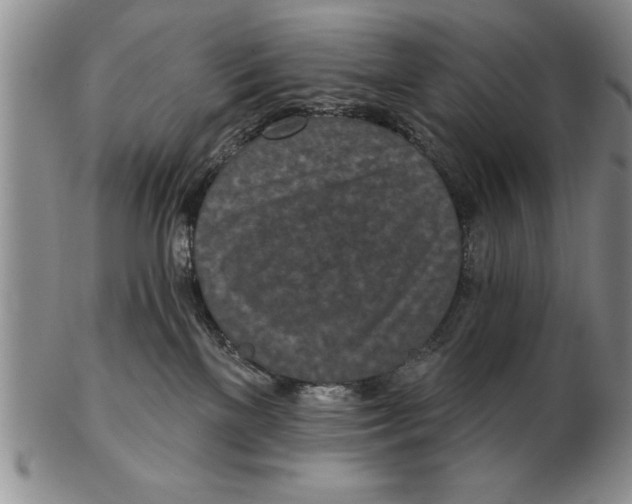 X0000102350137200808221702