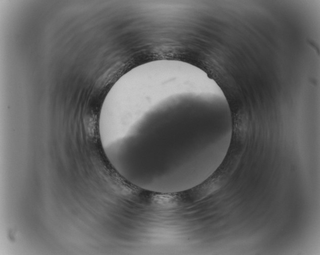 X0000102350139200808221702