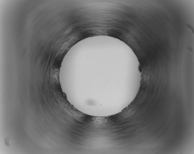 X0000102350141200808221702