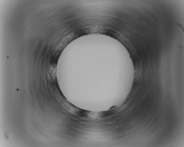 X0000102350142200808221702