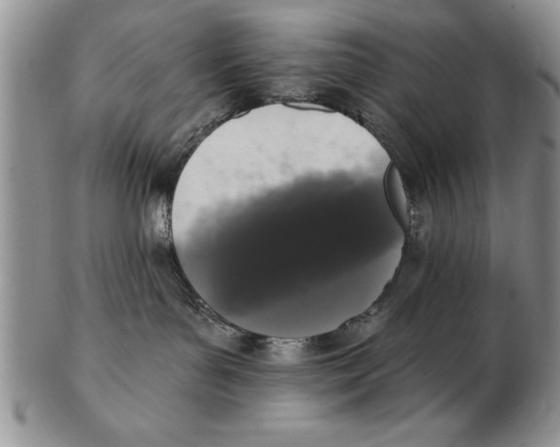 X0000102350143200808221702