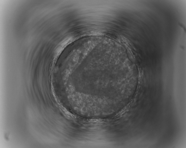 X0000102350145200808221701