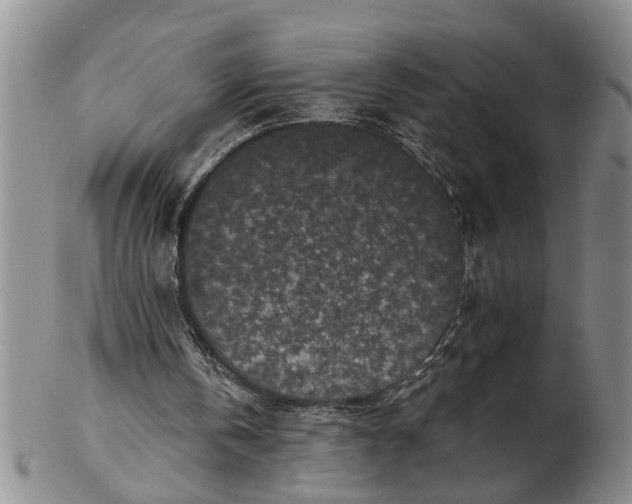 X0000102350146200808221701