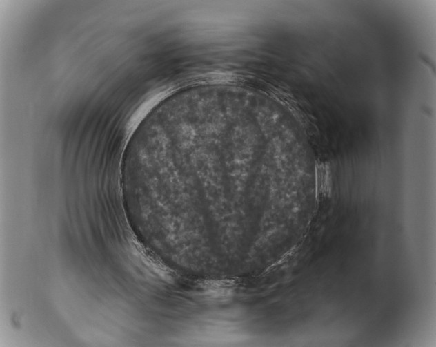 X0000102350147200808221701