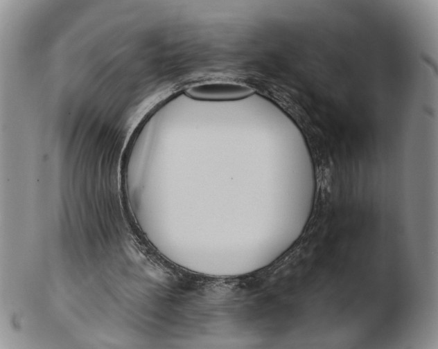 X0000102350148200808221701