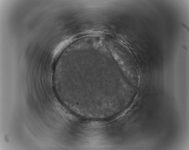 X0000102350149200808221701