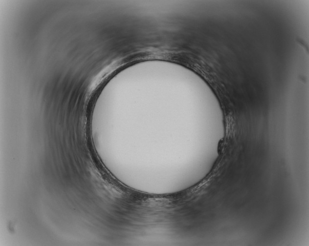 X0000102350150200808221701