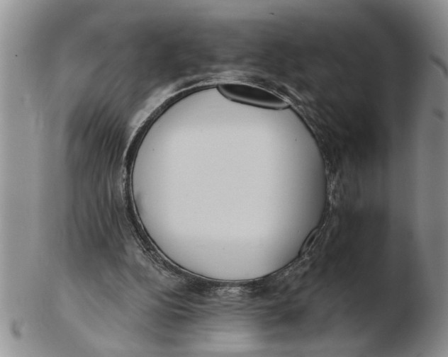 X0000102350152200808221701