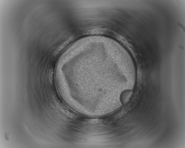 X0000102350153200808221701