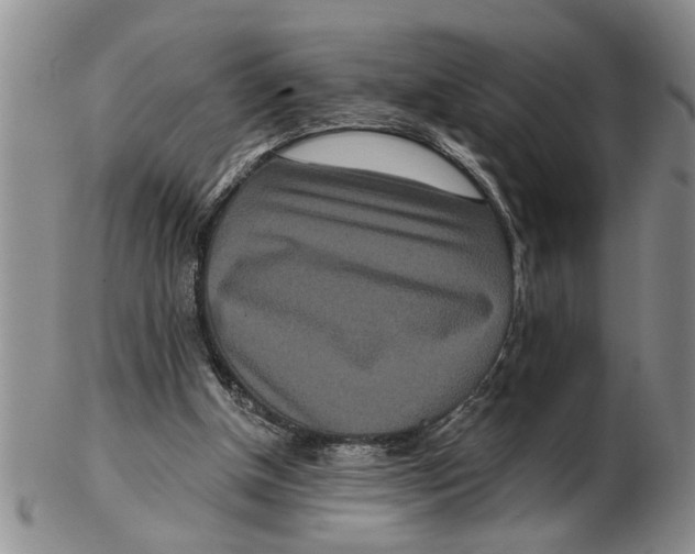 X0000102350154200808221701