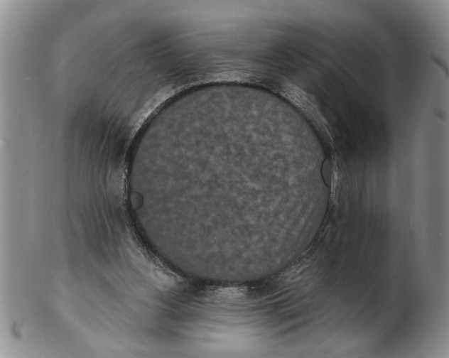 X0000102350156200808221701