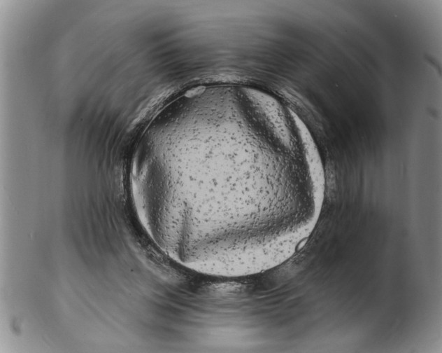 X0000102350158200808221701