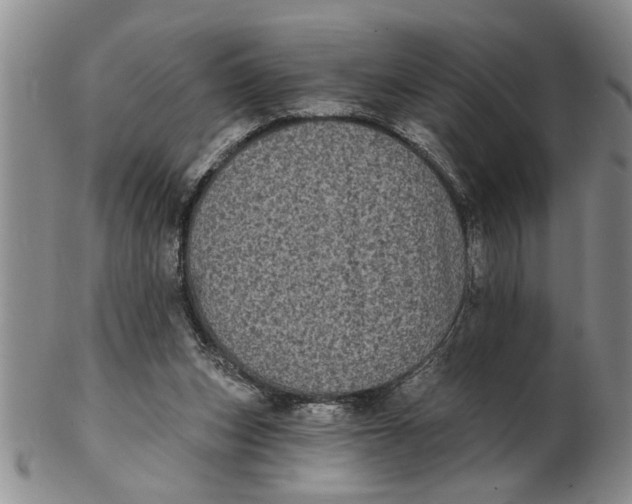 X0000102350159200808221701