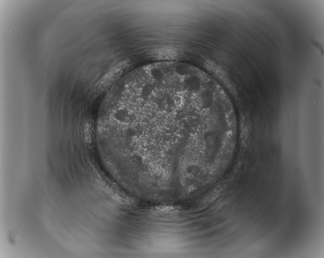X0000102350161200808221701