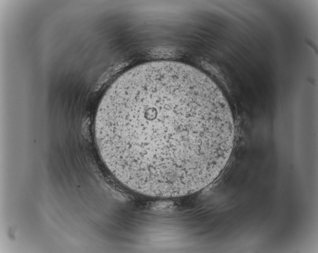 X0000102350162200808221701