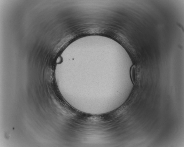 X0000102350164200808221701