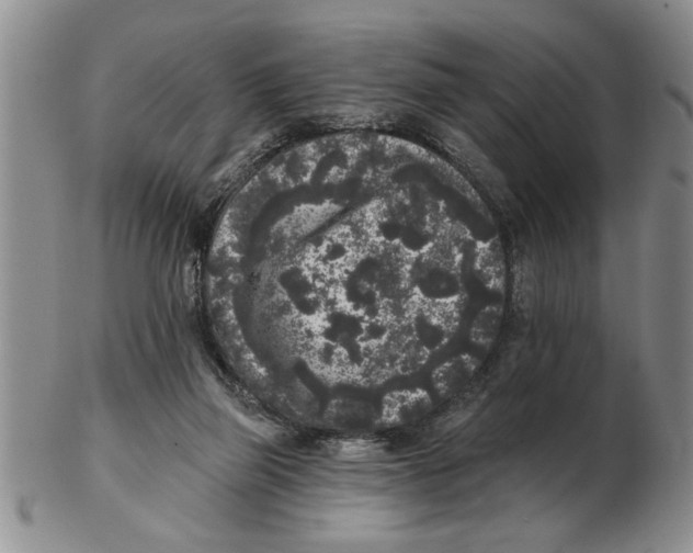 X0000102350165200808221701