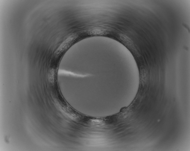 X0000102350167200808221701