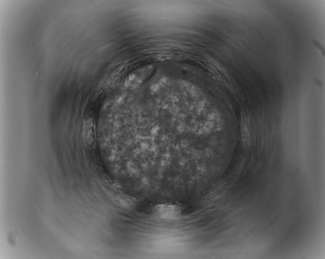 X0000102350169200808221702