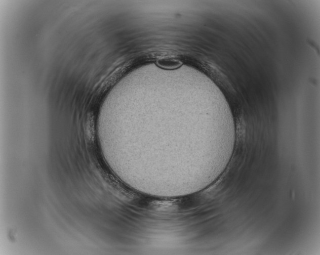 X0000102350170200808221702