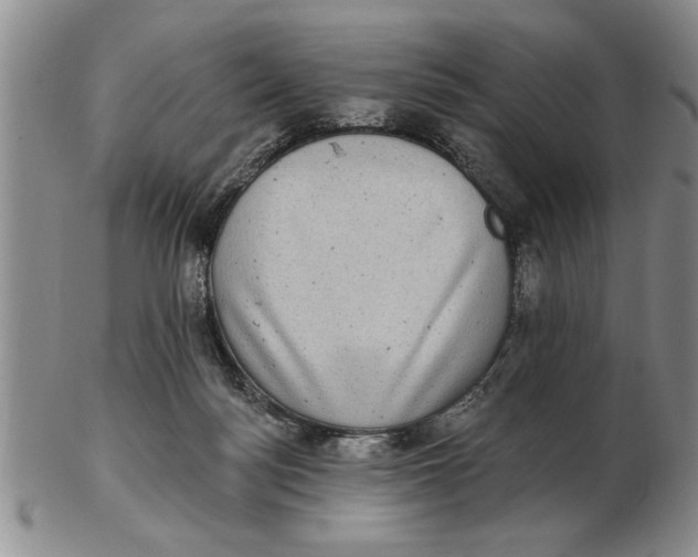 X0000102350172200808221702