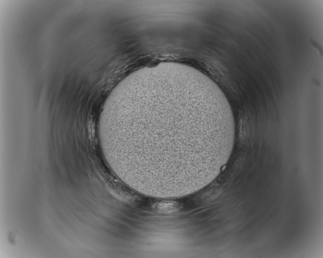 X0000102350173200808221702