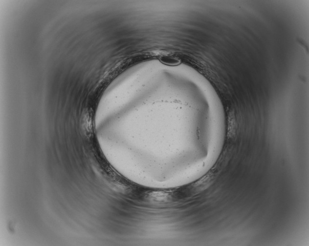 X0000102350176200808221702