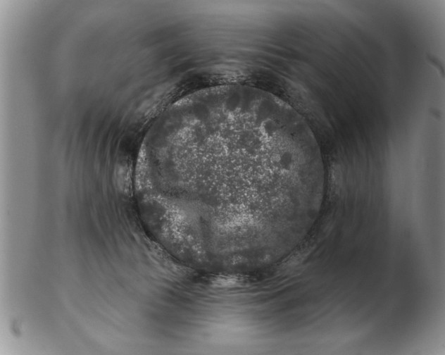 X0000102350177200808221702