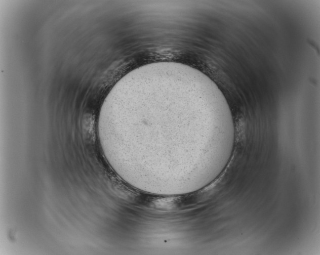 X0000102350178200808221702