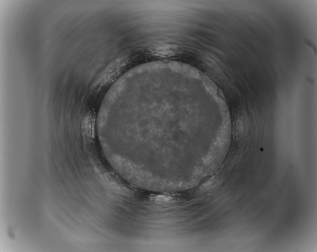 X0000102350180200808221702