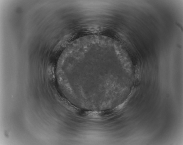 X0000102350182200808221702