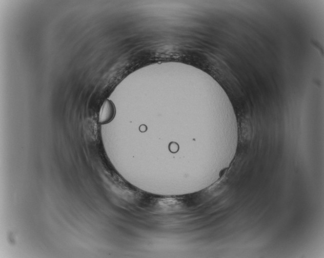 X0000102350183200808221702
