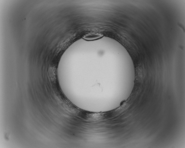 X0000102350184200808221702