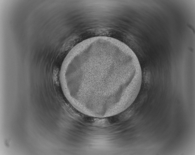 X0000102350185200808221702