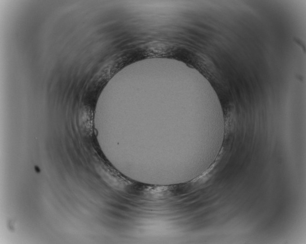 X0000102350186200808221702