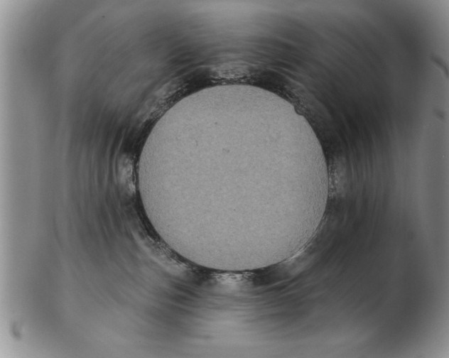 X0000102350187200808221702