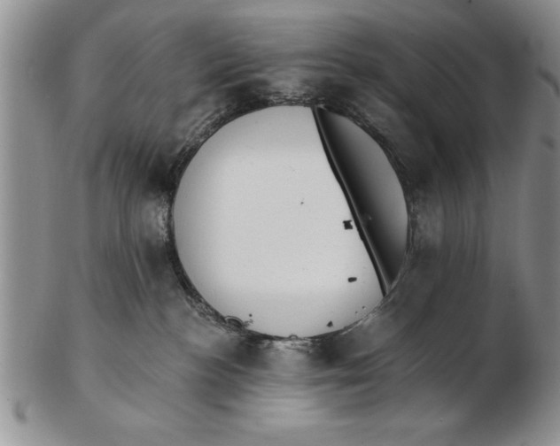X0000102350188200808221702