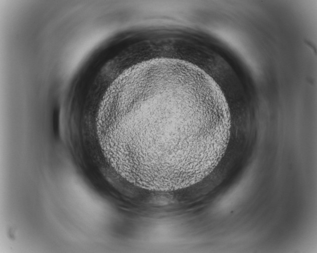 X0000102350189200808221702
