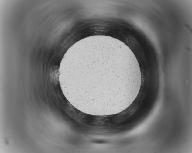 X0000102350190200808221702