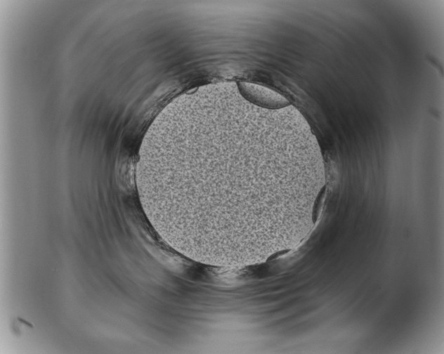 X0000102350191200808221702