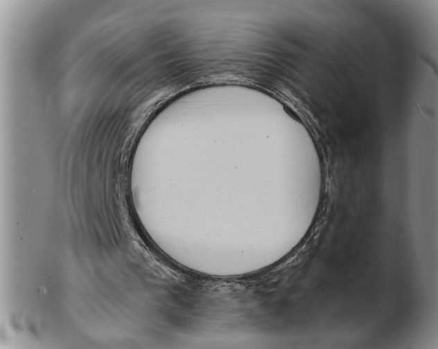 X0000102350193200808221701