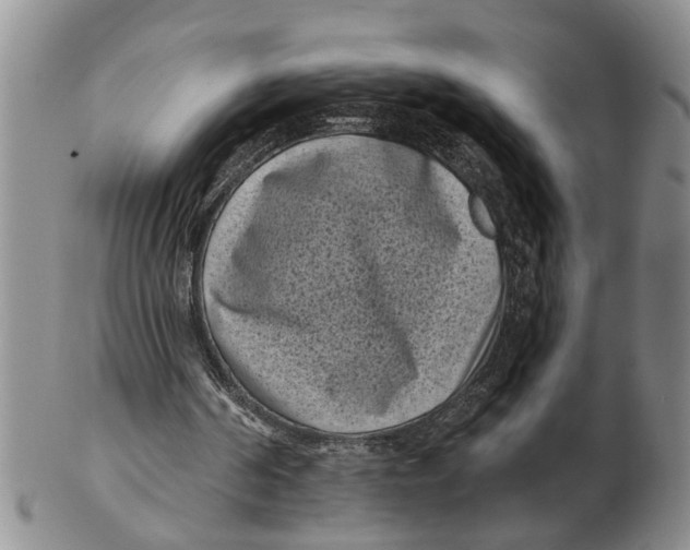 X0000102350194200808221701