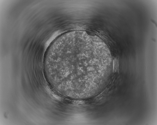 X0000102350195200808221701