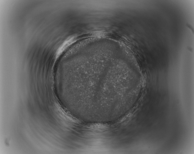 X0000102350198200808221701